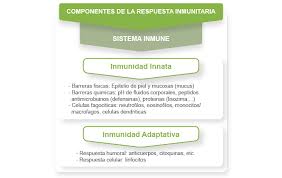 Tipos de inmunidad innata