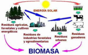 Tipos de energía renovable de biomasa