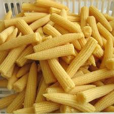 Tipos de maíz baby