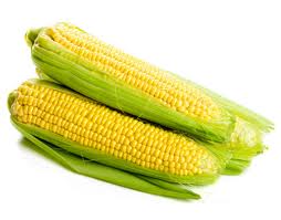 Tipos de maíz para mazorcas verdes