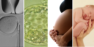 Algunas personas personas recurren a los tipos de reproducción asistida para lograr tener hijos.