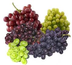 Tipos de uvas, variedades