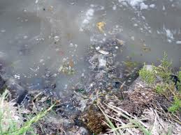 Tipos de contaminantes en el agua