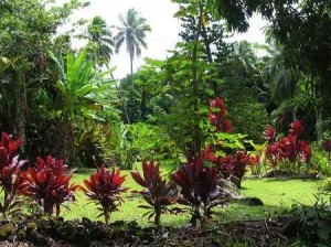 Tipos de jardines Tropical